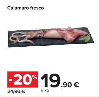 Carrefour Calamaro fresco offerta