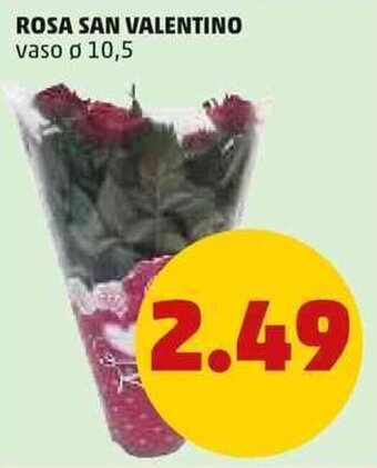 PENNY Rosa San Valentino vaso Ø 10,5 offerta