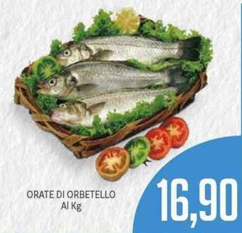 Supermercati Piccolo Orate di Orbetello offerta