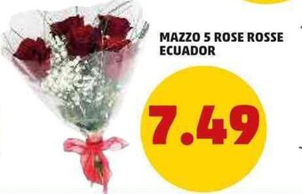 PENNY Mazzo 5 Rose Rosse Ecuador offerta