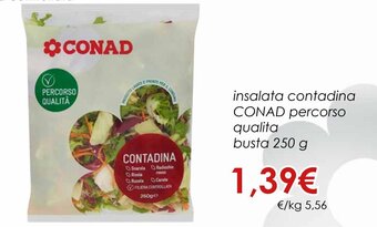 Conad Conad Insalata Contadina Percorso Qualita Busta 250 g offerta