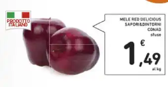 Conad Sapori&Dintorni Conad Mele Red Delicious sfuse offerta