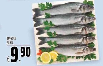 Coop Spigole offerta