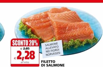 Il Gigante Filetto di salmone offerta
