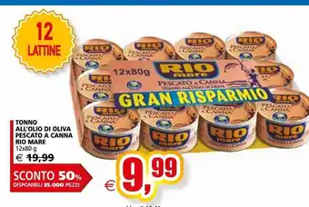 Il Gigante Tonno all'olio di oliva pescato a canna rio mare offerta