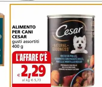Il Gigante Alimento per cani cesar 400g offerta