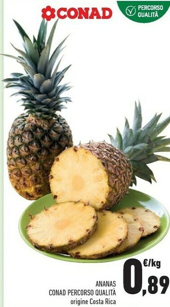 Conad Ananas offerta