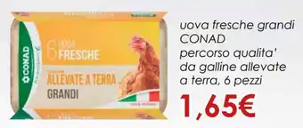 Conad Conad uova fresche grandi percorso qualita' da galline allevate a terra, 6 pezzi offerta