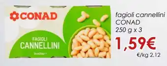 Conad Conad Fagioli Cannellini 250 g x 3 offerta