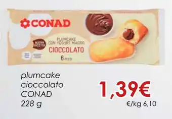 Conad Conad Plumcake Cioccolato 228 g offerta