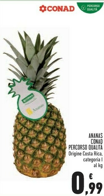 Conad Costa Conad Ananas Percorso Qualita Origine Rica offerta
