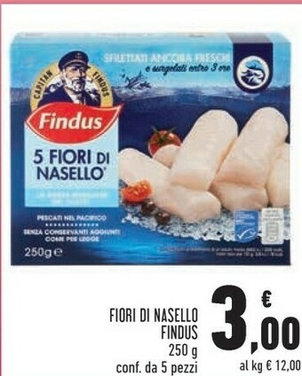 Conad City Findus 5 Fiori Di Nasello 250 G(ml) offerta