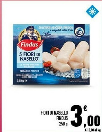 Conad City Findus 5 Fiori Di Nasello 250 G(ml) offerta