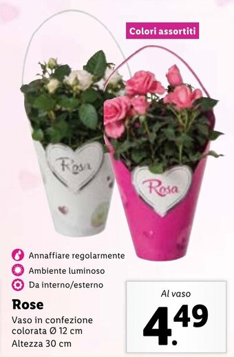 Lidl Rose Vaso Ø 12 cm, Altezza 30 cm offerta