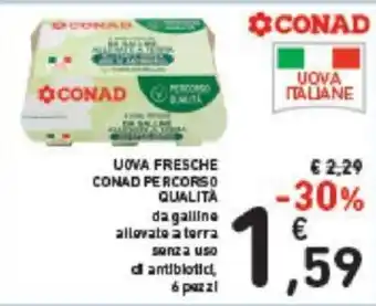 Conad Conad Percorso Qualità Uva Fresche 6 pezzi offerta