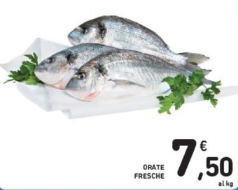 Conad Orate Fresche offerta