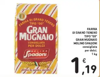 Conad Molino Spadoni Gran Mugnaio Farina di Grano Tenero Tipo "00" 1 kg offerta