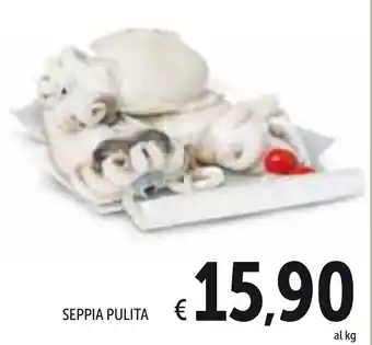 Spazio Conad Seppia Pulita offerta