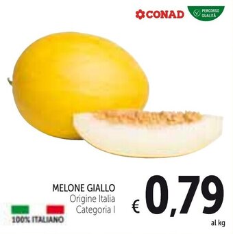 Spazio Conad Melone Giallo offerta