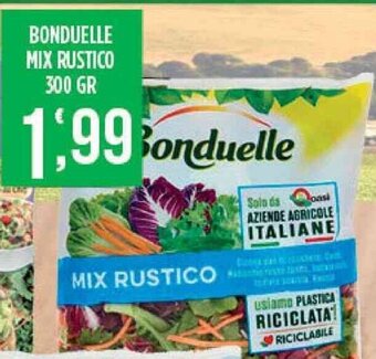 Supermercato Pollio Bonduelle Mix Rustico 300 gr offerta