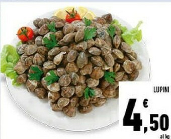 Conad Lupini offerta
