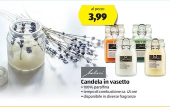 ALDI belavi Candela in vasetto offerta