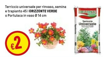 Iper La Grande Terriccio offerta