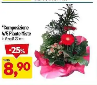 DPiù Composizione 4/5 Piante MIste in Vaso Ø 22 cm offerta