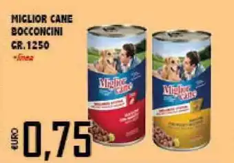 Big Food Miglior Cane Bocconcini 1250gr offerta