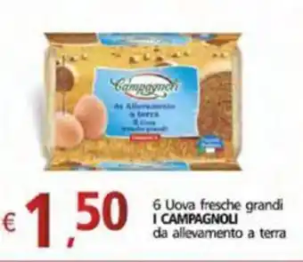 I Campagnoli 6 Uova Fresche Grandi da Allevamento A Terra