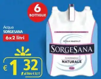 Alter Discount Sorgesana Acqua 6x2 Litri offerta