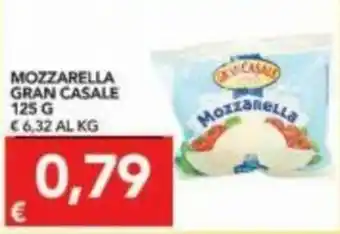 TuoDi Gran Casale Mozzarella 125 g offerta