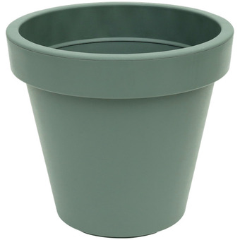 Action Vaso offerta