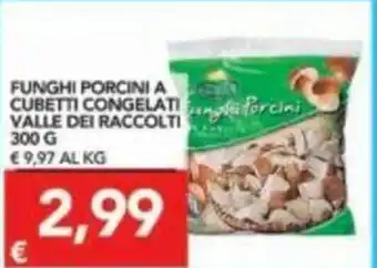 TuoDi Funghi Porcini a Cubetti Congelati Valle dei Raccolti 300 g offerta