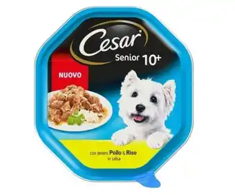 Cesar flexi senior pollo e riso in salsa 150 g