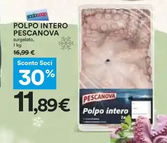 Coop Pescanova Polpo Intero Surgelato 1 kg offerta