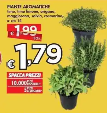 Bennet Piante Aromatiche ø cm 14 offerta