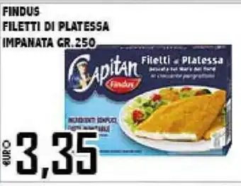 Big Food Findus Filetti di Platessa Impanata 250gr offerta