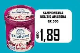 Sammontana Delizie Amarena 500gr
