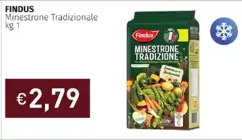 Prezzemolo e Vitale Findus Minestrone Tradizionale 1 kg offerta