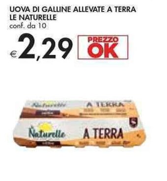 Bennet Le Naturelle Uova di Galline Allevate a Terra conf. da 10 offerta