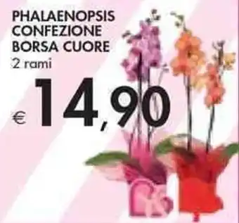 Bennet Phalaenopsis Confezione Borsa Cuore 2 rami offerta
