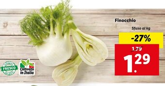 Lidl Finocchio offerta