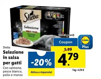 Lidl Sheba Selezione in salsa per gatti 12x 85 g offerta