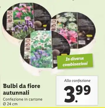 Lidl Bulbi da fiore autunnali Ø 24 cm offerta