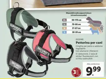 Lidl Zoofari Pettorina per cani offerta