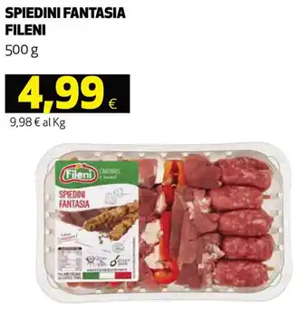 Coop Fileni Spiedini Fantasia 500 g offerta