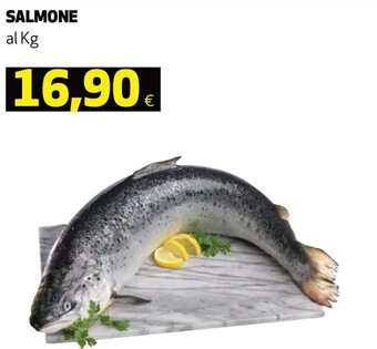 Coop Salmone offerta