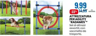 Eurospin Radames Attrezzatura Per Agility offerta