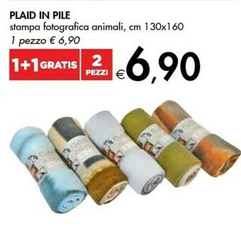 Bennet Plaid In Pile offerta